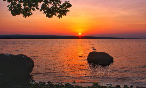 Scenic view of sea against orange sky