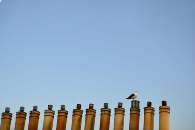 Low angle view of bird perching on roof against clear sky