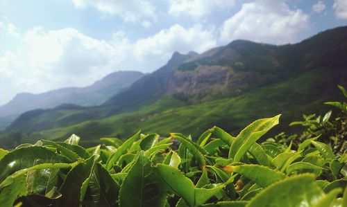 Scenic view of mountains against cloudy sky