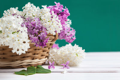 Close-up of pink flowers in vase on table