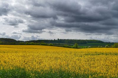 Scenic view of field against cloudy sky