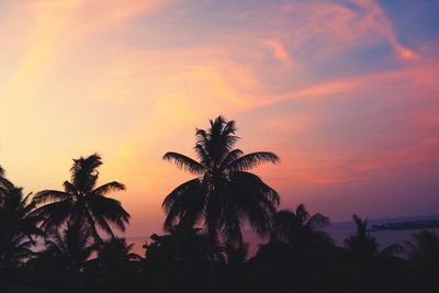 Silhouette palm trees against sky during sunset