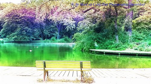 Scenic view of lake by trees