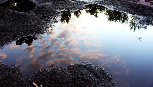 Reflection of trees in lake