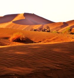 Scenic view of desert