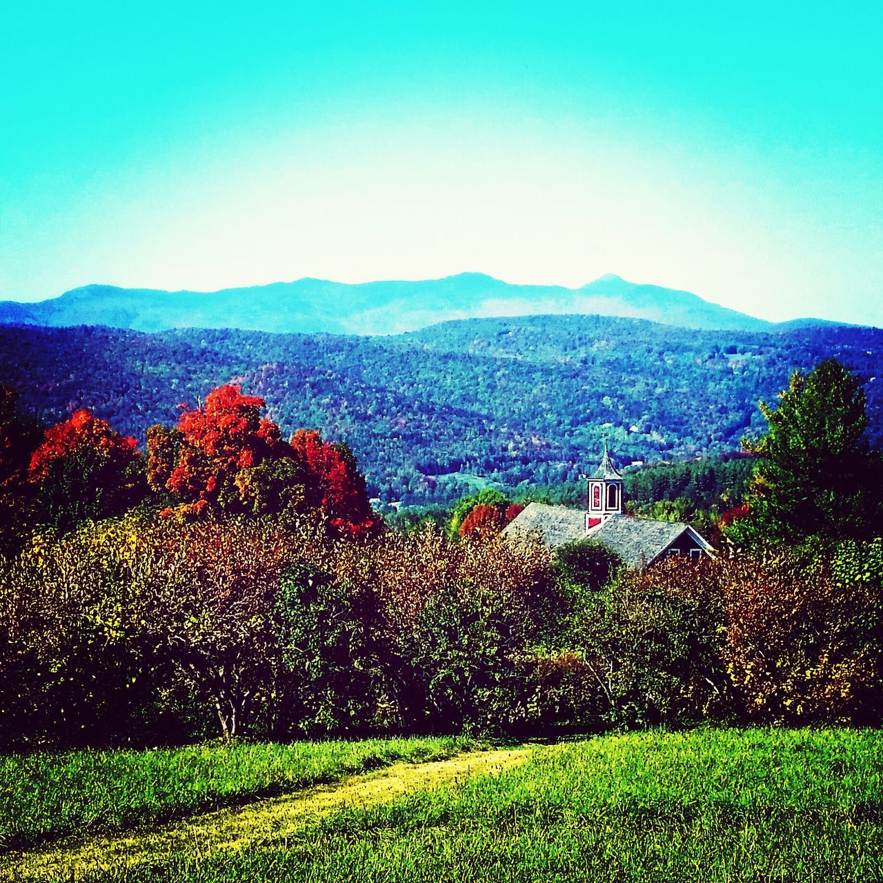 clear sky, copy space, landscape, blue, beauty in nature, growth, field, tranquil scene, mountain, nature, scenics, tree, tranquility, flower, building exterior, plant, built structure, rural scene, architecture, house