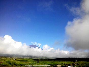 Scenic view of grassy field against sky