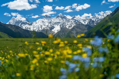 Scenic view of field and mountains against sky