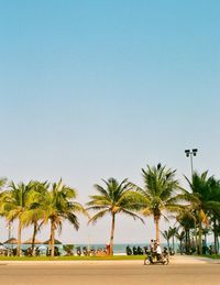 Palm trees by road against clear blue sky