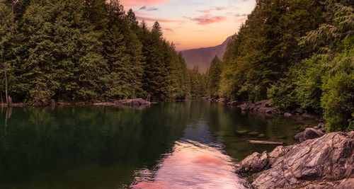 Scenic view of lake in forest against sky