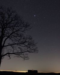 Low angle view of bare trees against sky at night