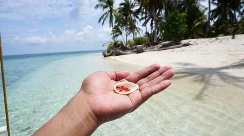 Cropped image of hand holding palm tree on beach