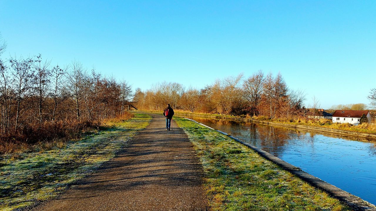 REAR VIEW OF MEN WALKING AGAINST TREES AGAINST CLEAR BLUE SKY