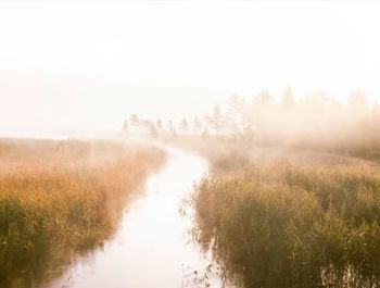 Scenic view of land against sky