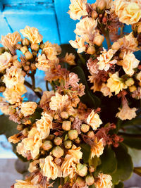 High angle view of flowering plants at market