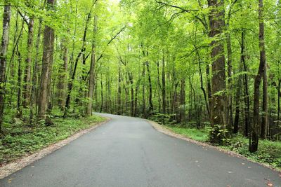 Empty road passing through forest