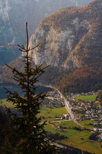 Scenic view of landscape