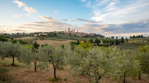 Panoramic view of agricultural field against sky