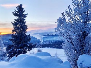 Trees on snow covered field against sky during sunset