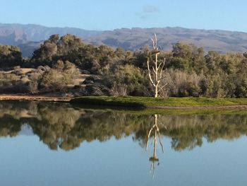 Scenic view of lake by trees against sky