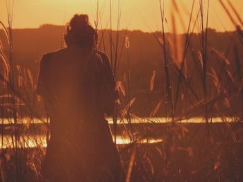 Rear view of person standing amidst grass during sunset