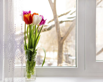 Close-up of tulip in vase against window