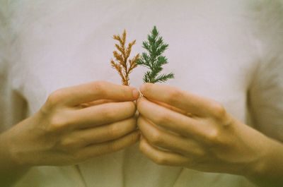 Midsection of woman holding plants