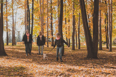 People in forest during autumn