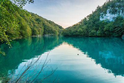 Scenic view of lake in forest against sky