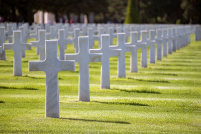 View of cross in cemetery