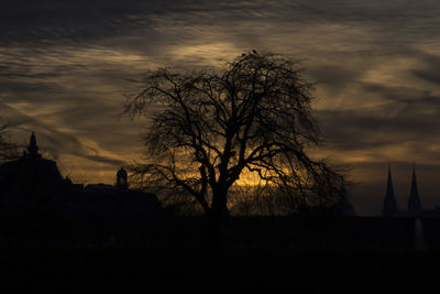 Silhouette bare trees on field against sky at sunset