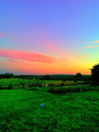 Scenic view of grassy field against sky