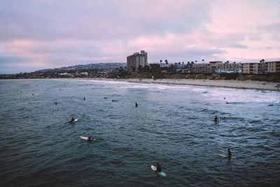 View of birds swimming in sea