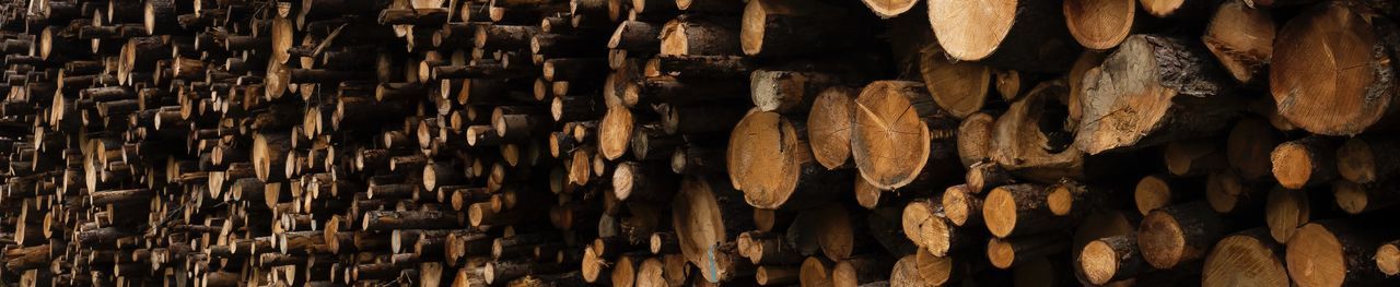 Full frame shot of logs in forest