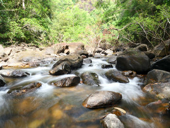 River flowing through rocks in forest