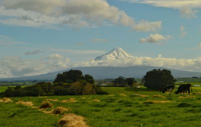 Scenic view of grassy field against cloudy sky