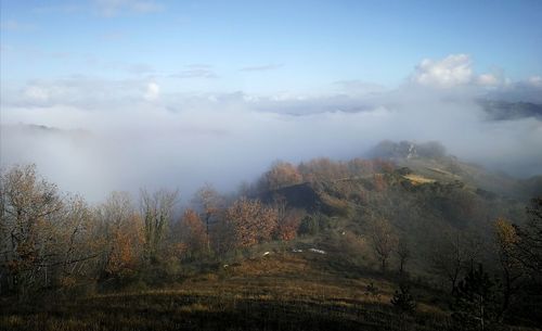 Scenic view of landscape against sky during foggy weather