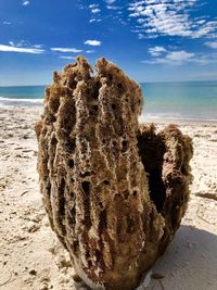 Close-up of rock on beach against sky