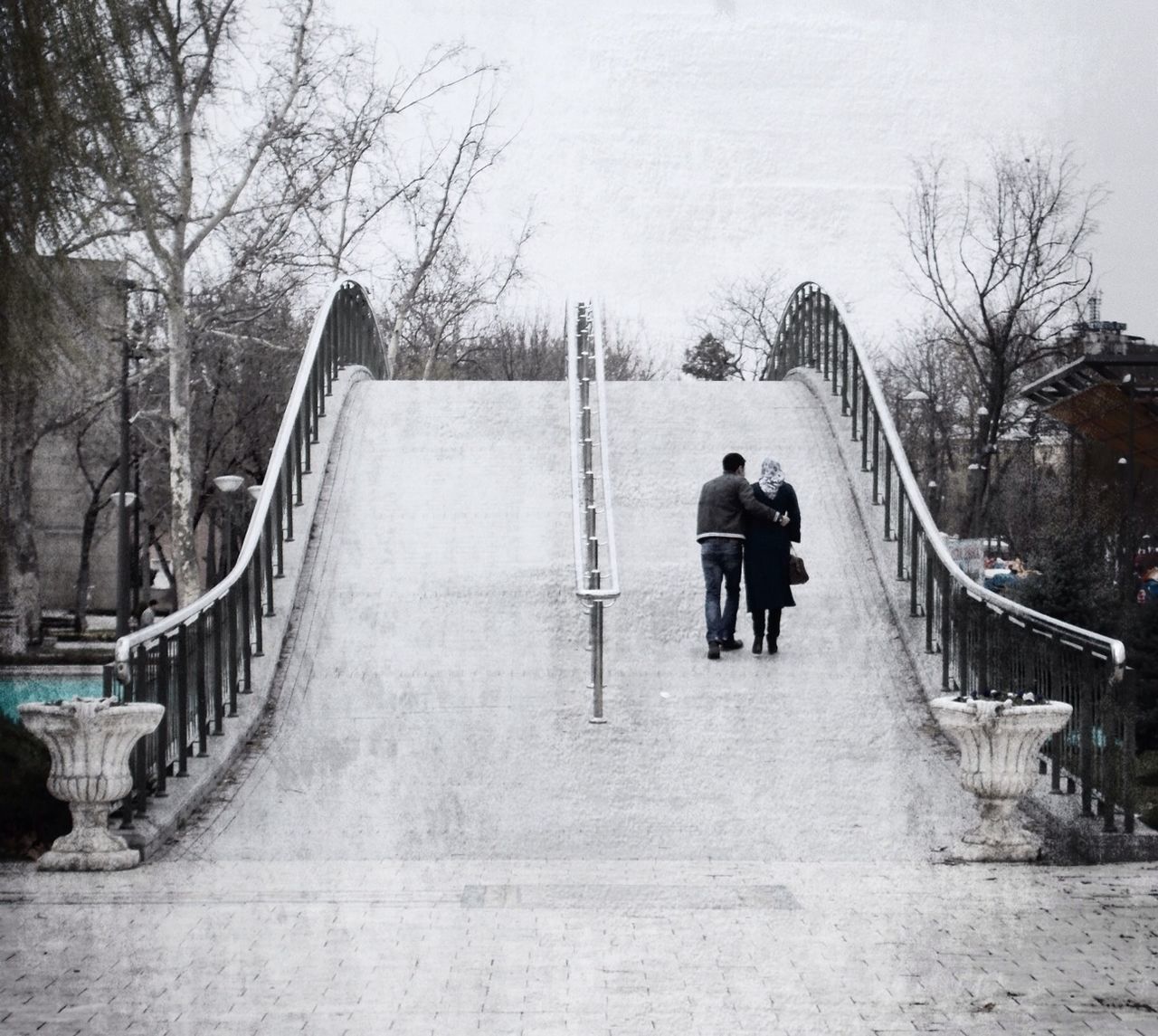 full length, rear view, lifestyles, walking, leisure activity, the way forward, tree, men, person, railing, casual clothing, built structure, footbridge, togetherness, architecture, footpath, bridge - man made structure