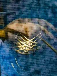 Close-up of leaf on glass