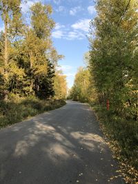 Road amidst trees against sky