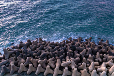 High angle view of rocks on shore