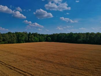 Scenic view of field against sky