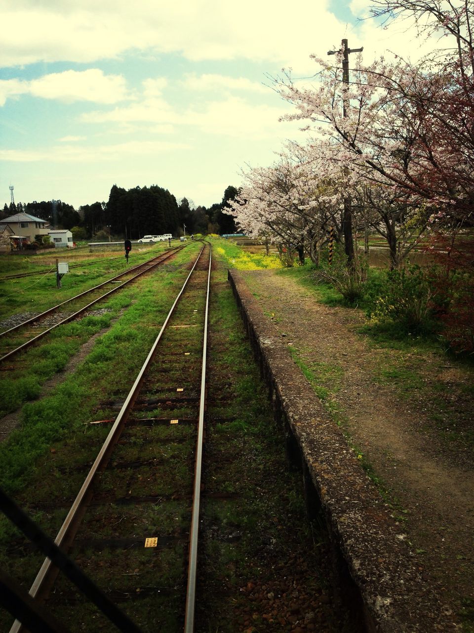 sky, railroad track, field, grass, tree, the way forward, landscape, growth, transportation, diminishing perspective, rail transportation, tranquility, tranquil scene, nature, vanishing point, fence, rural scene, cloud - sky, agriculture, day