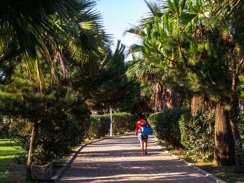 Rear view of woman walking on footpath amidst trees