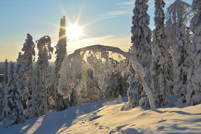 Snow covered landscape against sky during sunset