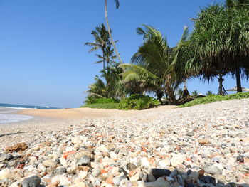 Scenic view of beach against clear blue sky