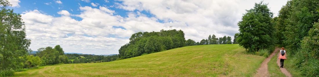 Panoramic view of trees on field against sky