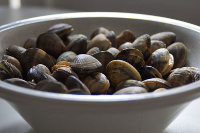 Close-up of shells in bowl