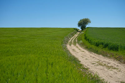 Scenic view of landscape against clear blue sky